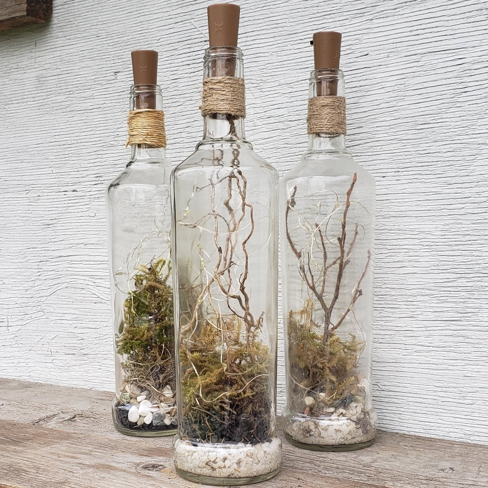 Dried Moss Terrarium Bottle Light (w/ roots and pebbles)
